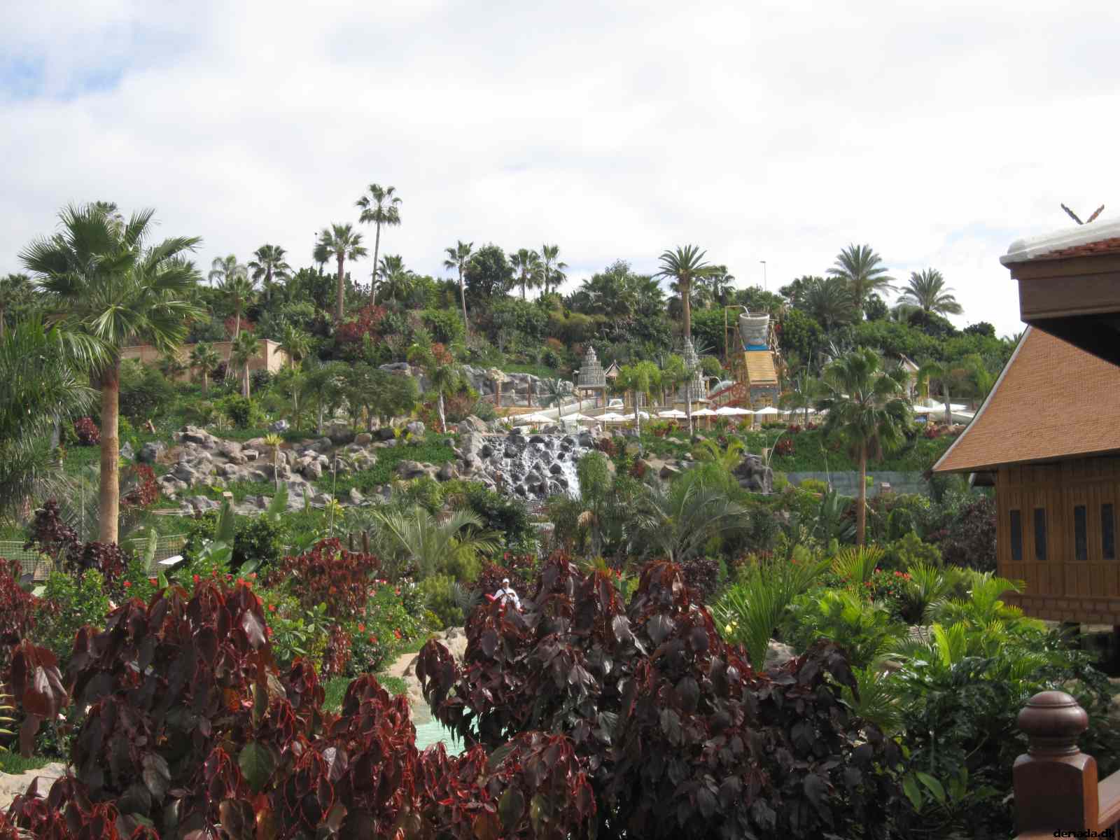 * Image 76
