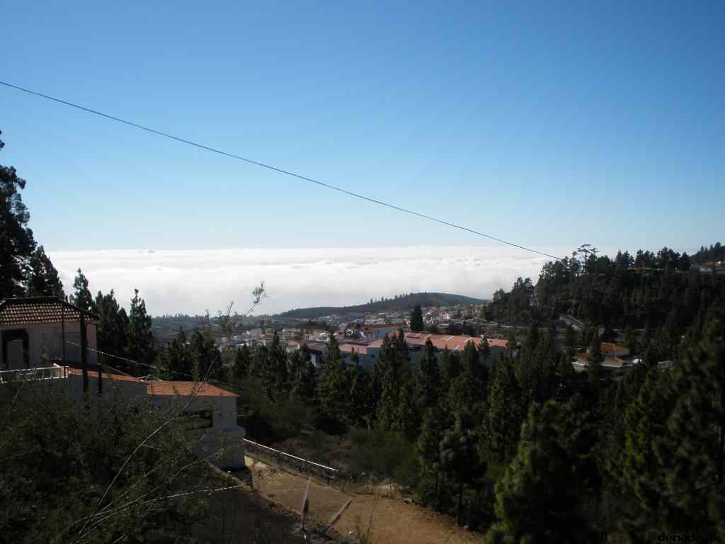 * Image 116