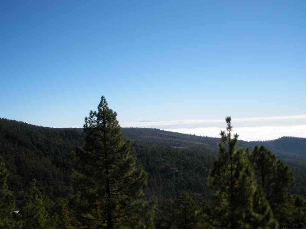 * Image 123