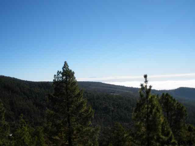 * Image 123