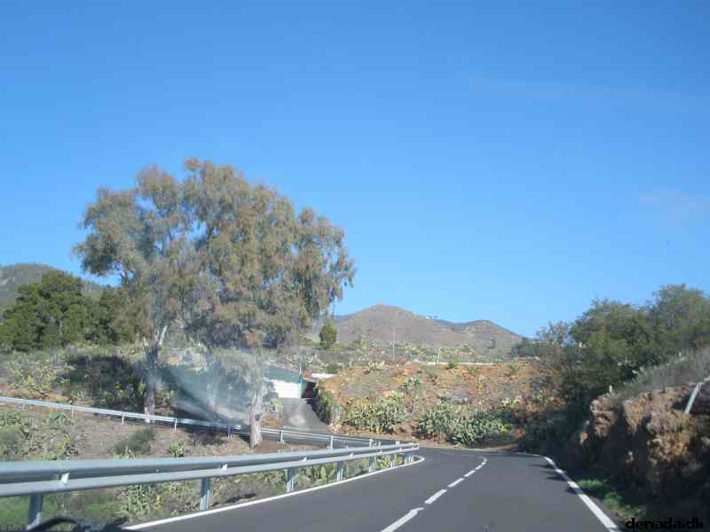 * Image 113