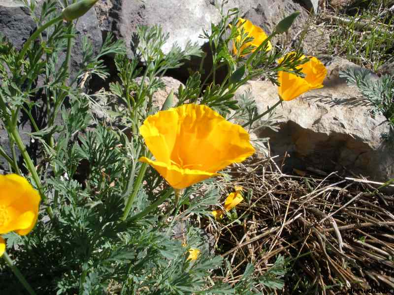 * Image 120