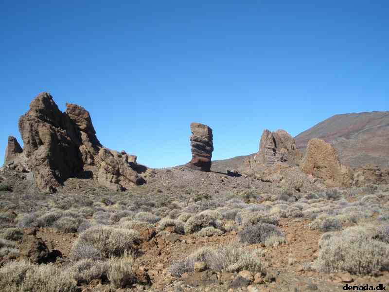 * Image 137