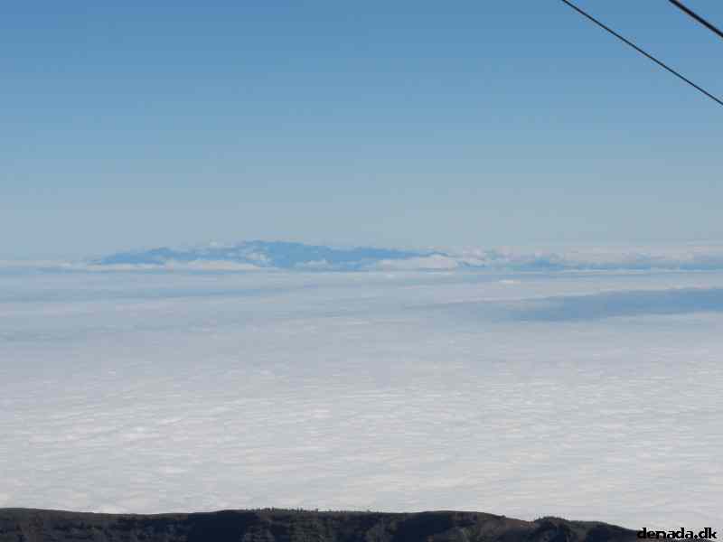 * Image 155