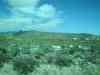 20100124_142129.jpg - 2010:01:24 14:21:29