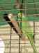 20100124_225514.jpg - 2010:01:24 22:55:14