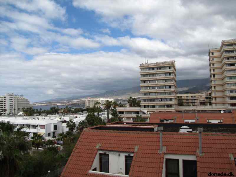 * Image 3