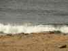 20100129_124759.jpg - 2010:01:29 12:47:59