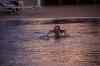 tenerife0157.jpg - 2010:01:24 19:24:24
