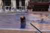 tenerife0171.jpg - 2010:01:24 19:25:52