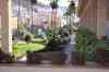 tenerife1407.jpg - 2010:01:29 12:25:25