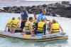 tenerife1505.jpg - 2010:01:29 15:38:07
