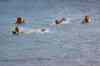tenerife1525.jpg - 2010:01:29 15:51:54