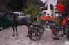 tenerife1589.jpg - 2010:01:29 19:40:47