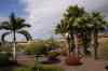 tenerife1808.jpg - 2010:01:30 15:24:07