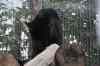 tenerife2042.jpg - 2010:01:30 16:40:43