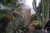 tenerife2160.jpg - 2010:01:30 17:07:28