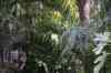 tenerife2178.jpg - 2010:01:30 17:13:42