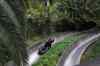 tenerife2200.jpg - 2010:01:30 17:19:03