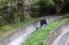 tenerife2213.jpg - 2010:01:30 17:21:23