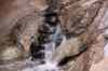 tenerife2225.jpg - 2010:01:30 17:22:44