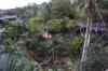 tenerife2302.jpg - 2010:01:30 17:58:06