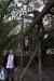 tenerife2113.jpg - 2010:01:30 17:04:22