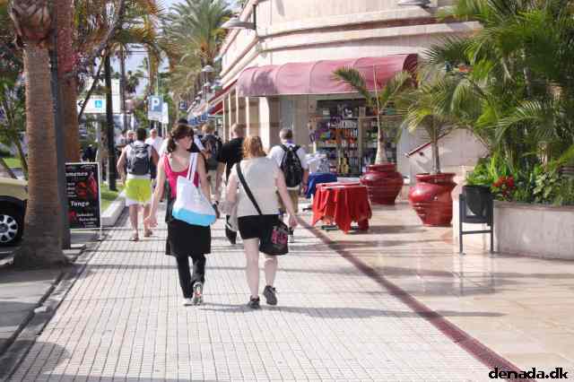 * Image 1365