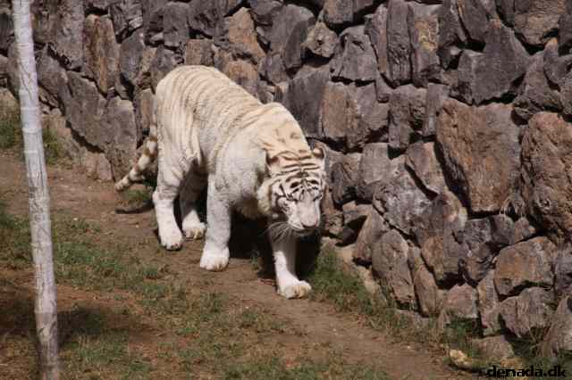 * Image 1640