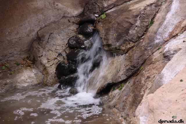 * Image 1933