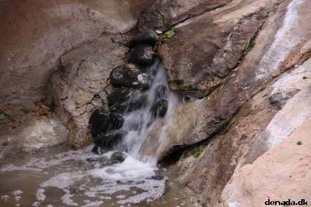 * Image 1934