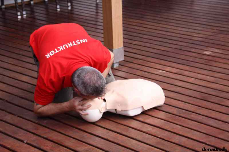 * Image 283