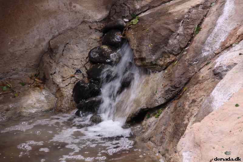 * Image 1933