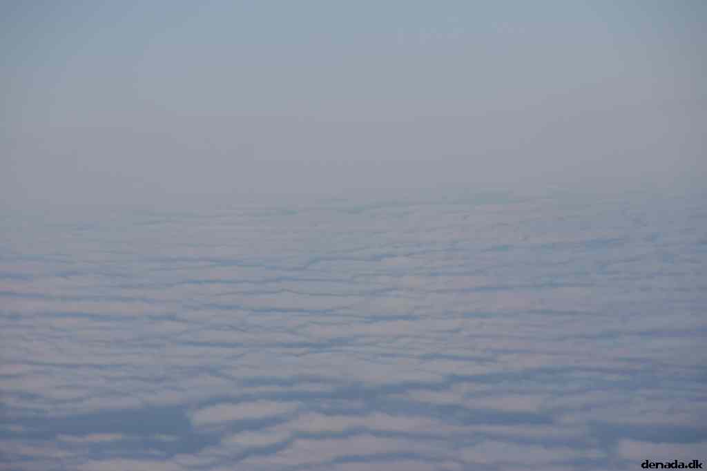 * Image 19