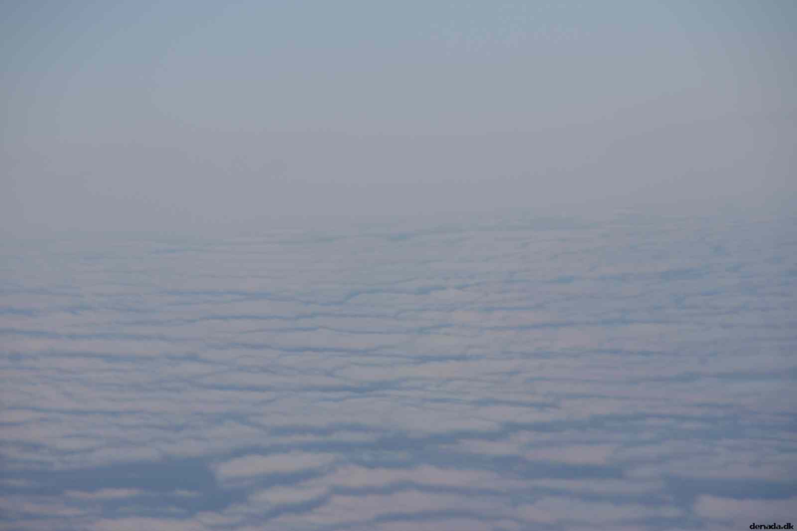 * Image 19