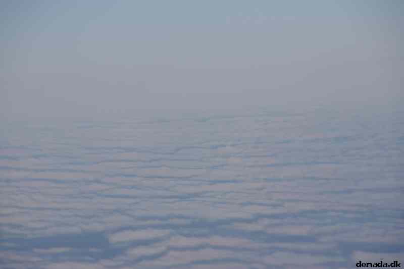 * Image 19