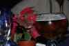 20110127_205257.jpg - 2011:01:27 20:52:57
