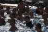 20110128_115946.jpg - 2011:01:28 11:59:46