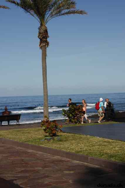 * Image 11