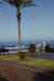 20110128_113002.jpg - 2011:01:28 11:30:02