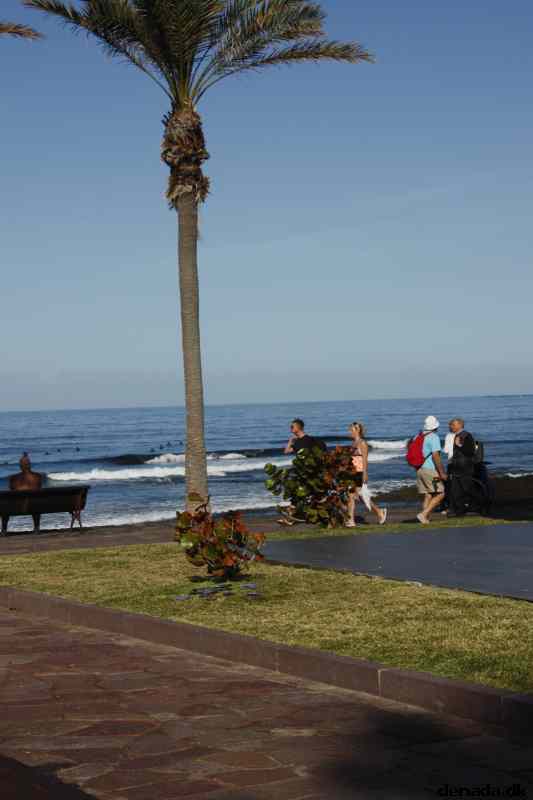 * Image 11