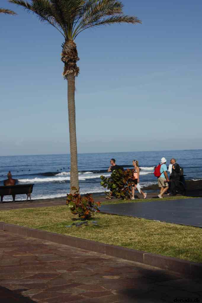 * Image 11