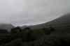20110129_150122.jpg - 2011:01:29 15:01:22