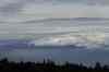 20110129_151301.jpg - 2011:01:29 15:13:01