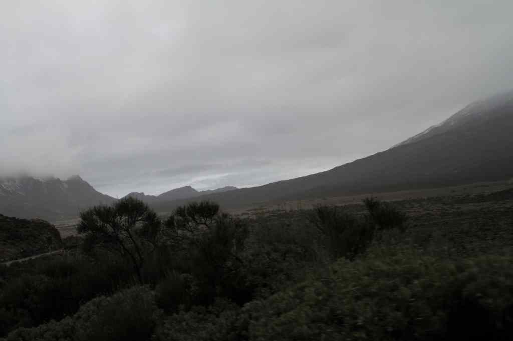 * Image 16