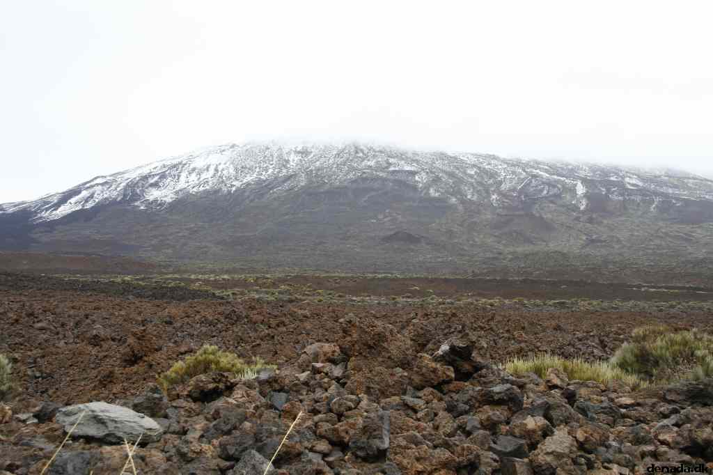 * Image 18