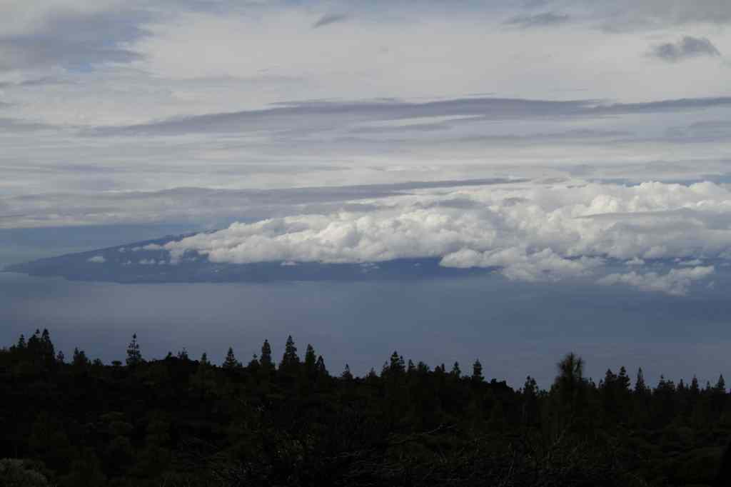 * Image 21