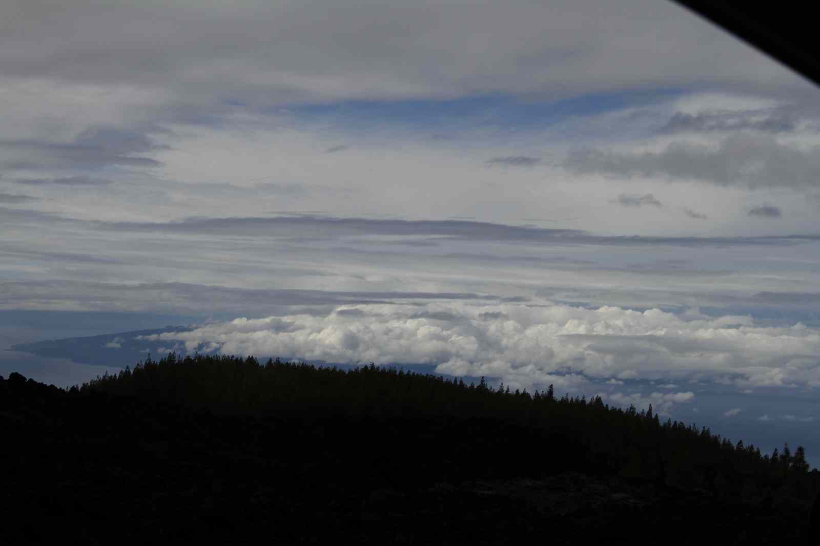 * Image 19