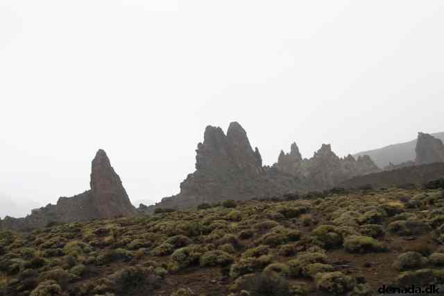 * Image 13