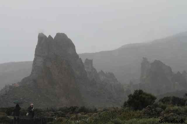 * Image 14